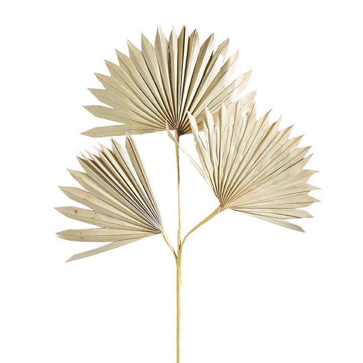28" Dried Palm Spray