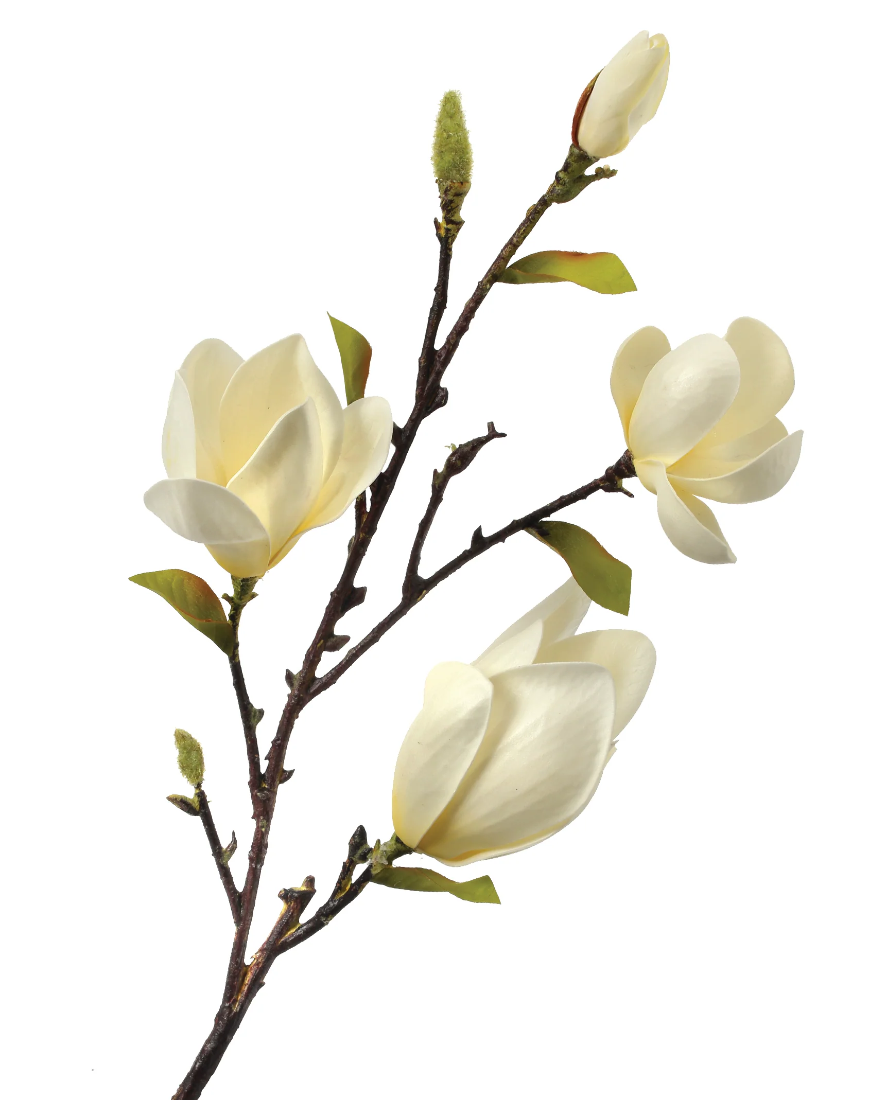 34" Eva Saucer Magnolia Spray - White