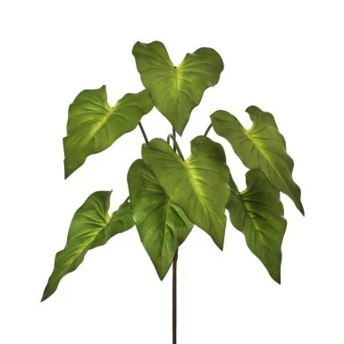 25" Natural Touch Taro Plant x7 - Green