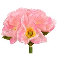 Poppy Bloom Bundle - 10.5" - Image 3